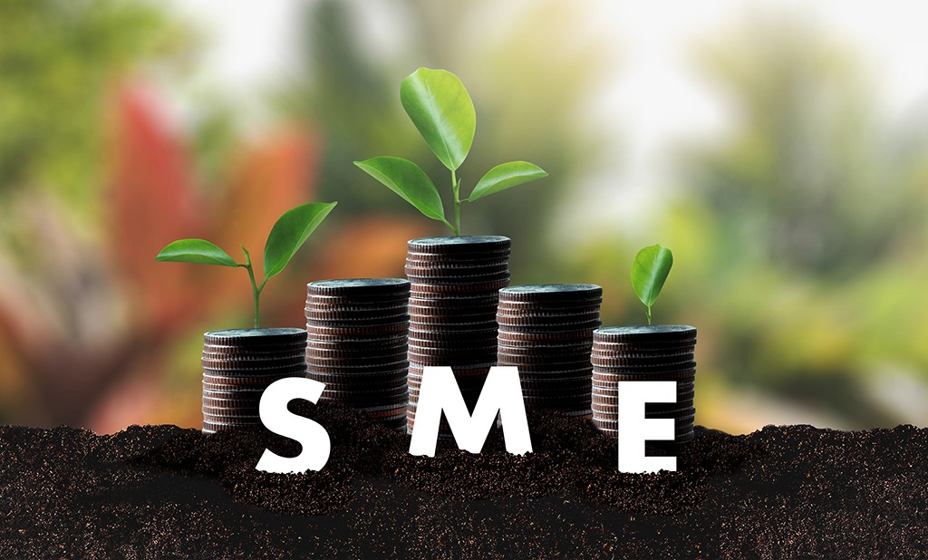 คลังเตรียมวงเงิน 114,100 ล้านบาท ดูแล SMEs