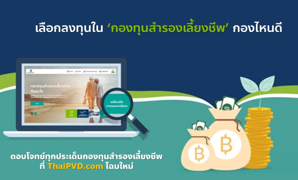 เลือกลงทุนในกองทุนสำรองเลี้ยงชีพกองไหนดี